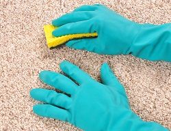 SM2 Carpet Cleaning Sutton